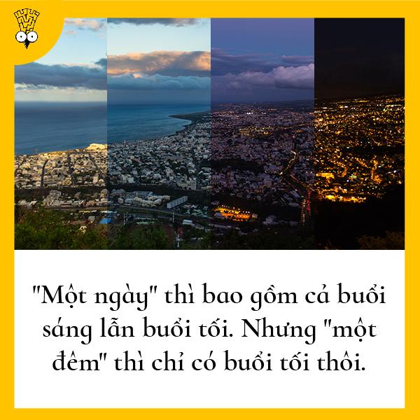 Những suy nghĩ nhảm nhí nhưng có tính giác ngộ cao từng bất chợt nảy ra trong đầu loài người Những suy nghĩ nhảm nhí nhưng có tính giác ngộ cao từng bất chợt nảy ra trong đầu loài người
