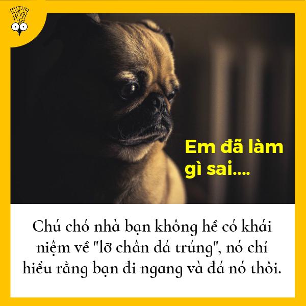Những suy nghĩ nhảm nhí nhưng có tính giác ngộ cao từng bất chợt nảy ra trong đầu loài người Những suy nghĩ nhảm nhí nhưng có tính giác ngộ cao từng bất chợt nảy ra trong đầu loài người
