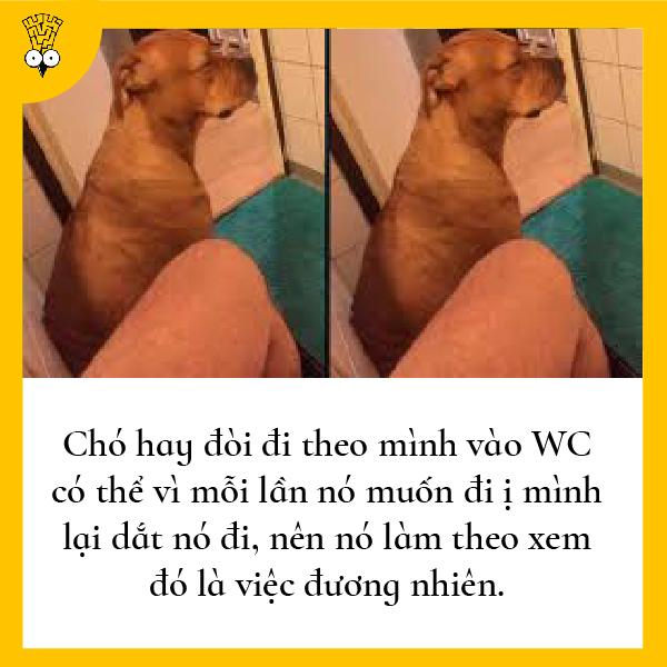 Những suy nghĩ nhảm nhí nhưng có tính giác ngộ cao từng bất chợt nảy ra trong đầu loài người Những suy nghĩ nhảm nhí nhưng có tính giác ngộ cao từng bất chợt nảy ra trong đầu loài người