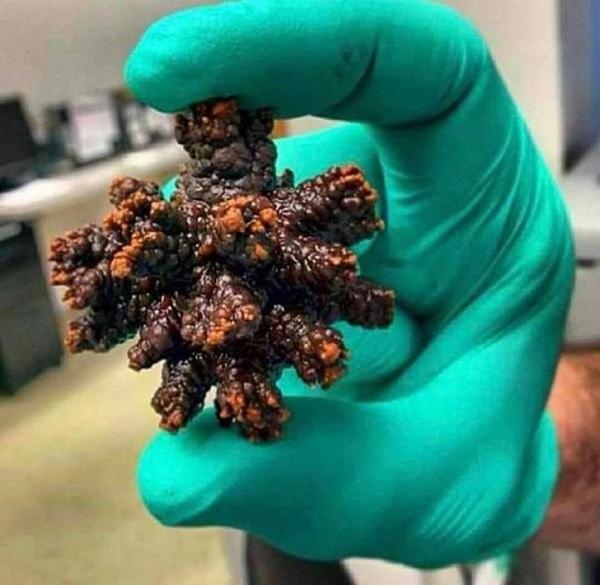 Loạt ảnh khiến bạn tỉnh ngủ còn hơn uống 10 cốc cà phê vào buổi sáng Loạt ảnh khiến bạn tỉnh ngủ còn hơn uống 10 cốc cà phê vào buổi sáng