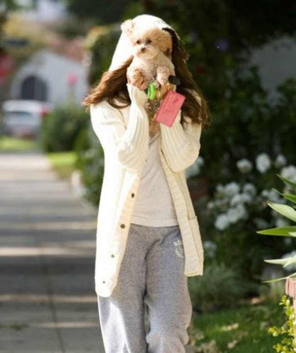 Phản ứng 'lầy đừng hỏi' của người nổi tiếng khi thấy paparazzi 'núp lùm' Phản ứng 'lầy đừng hỏi' của người nổi tiếng khi thấy paparazzi 'núp lùm'