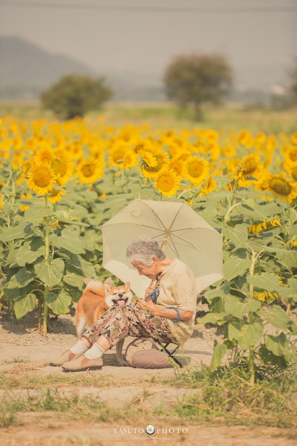 Bộ ảnh bà ngoại và Shiba Inu: Bốn mùa xuân, hạ, thu đông, lòng mãi nhẹ tênh như mây trời Bộ ảnh bà ngoại và Shiba Inu: Bốn mùa xuân, hạ, thu đông, lòng mãi nhẹ tênh như mây trời