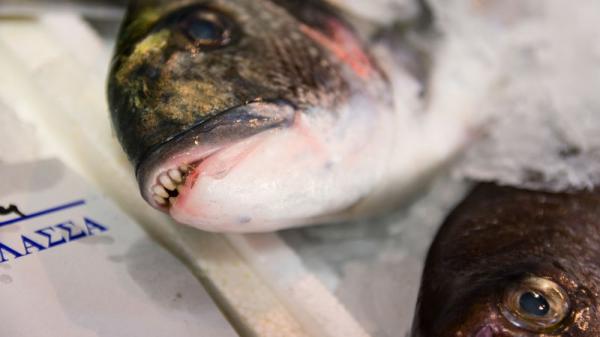 Một người Hàn Quốc phải cưa tay vì nhiễm vi khuẩn nguy hiểm từ việc... ăn sushi Một người Hàn Quốc phải cưa tay vì nhiễm vi khuẩn nguy hiểm từ việc... ăn sushi