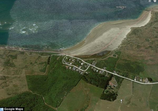 New Zealand đề xuất... cấm nuôi mèo để bảo vệ đa dạng sinh học địa phương New Zealand đề xuất... cấm nuôi mèo để bảo vệ đa dạng sinh học địa phương