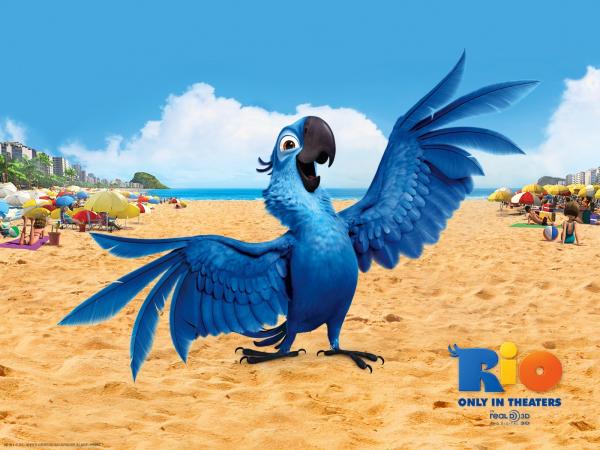 Vẹt xanh đuôi dài của loạt phim hoạt hình 'Rio' chính thức tuyệt chủng Vẹt xanh đuôi dài của loạt phim hoạt hình 'Rio' chính thức tuyệt chủng
