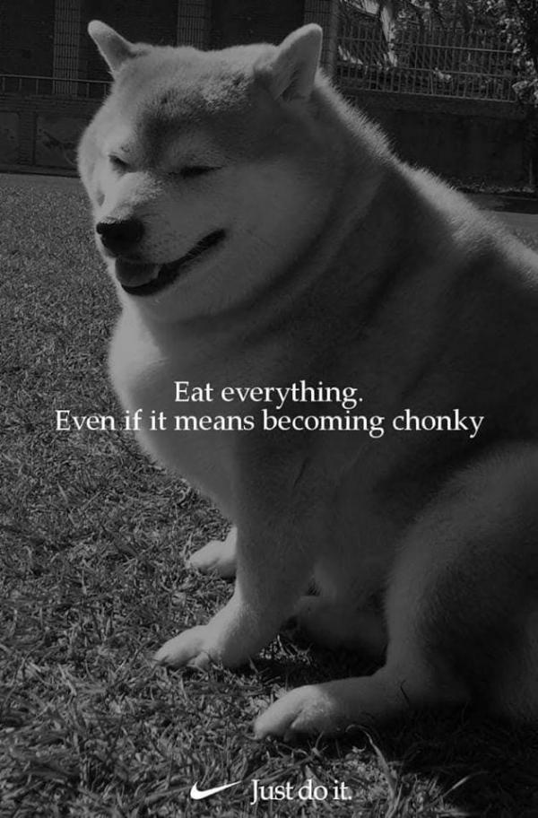 Loạt ảnh meme hài hước và thâm sâu sau quảng cáo 'Just Do It' gây tranh cãi của Nike Loạt ảnh meme hài hước và thâm sâu sau quảng cáo 'Just Do It' gây tranh cãi của Nike