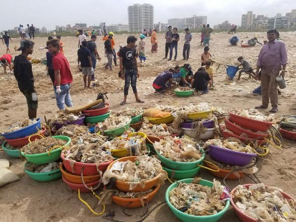 Hình ảnh chú rùa trở lại bãi biển ô nhiễm nhất Ấn Độ sau 20 năm cho thấy kỳ tích luôn nằm trong tay con người Hình ảnh chú rùa trở lại bãi biển ô nhiễm nhất Ấn Độ sau 20 năm cho thấy kỳ tích luôn nằm trong tay con người