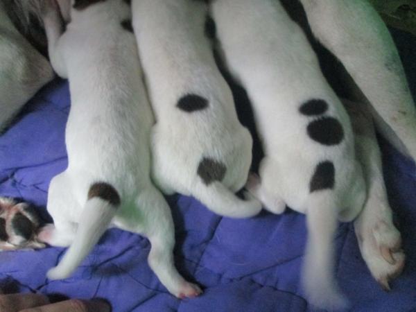 Khoảnh khắc tình cờ đến bất ngờ làm người xem đi hết từ sửng sốt này đến kinh ngạc khác Khoảnh khắc tình cờ đến bất ngờ làm người xem đi hết từ sửng sốt này đến kinh ngạc khác