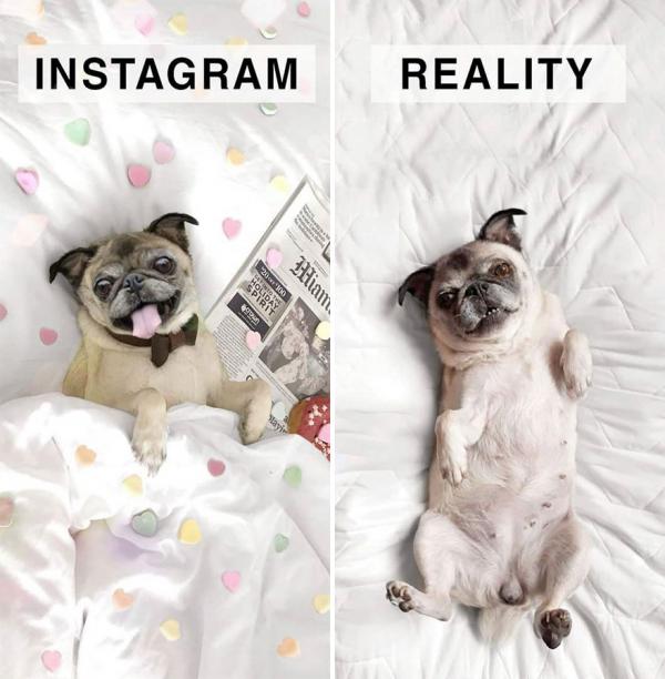 Bộ ảnh hài hước 'vạch trần' thói sống ảo của hội chị em trên Instagram Bộ ảnh hài hước 'vạch trần' thói sống ảo của hội chị em trên Instagram