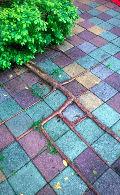 Tiếp tục loạt ảnh hoàn hảo có thể thỏa mãn con mắt của những người cầu toàn nhất Tiếp tục loạt ảnh hoàn hảo có thể thỏa mãn con mắt của những người cầu toàn nhất
