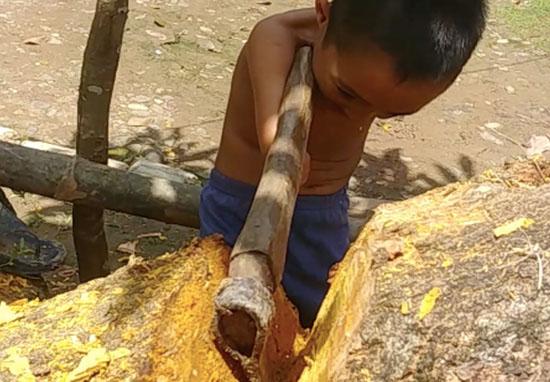Cậu bé mất cả hai tay vẫn hăng say dùng rìu chặt củi khiến mọi người khâm phục Cậu bé mất cả hai tay vẫn hăng say dùng rìu chặt củi khiến mọi người khâm phục