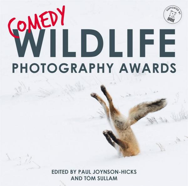 Cười thả ga với Comedy Wildlife Photography Award - cuộc thi những khoảnh khắc xàm xí của động vật hoang dã Cười thả ga với Comedy Wildlife Photography Award - cuộc thi những khoảnh khắc xàm xí của động vật hoang dã