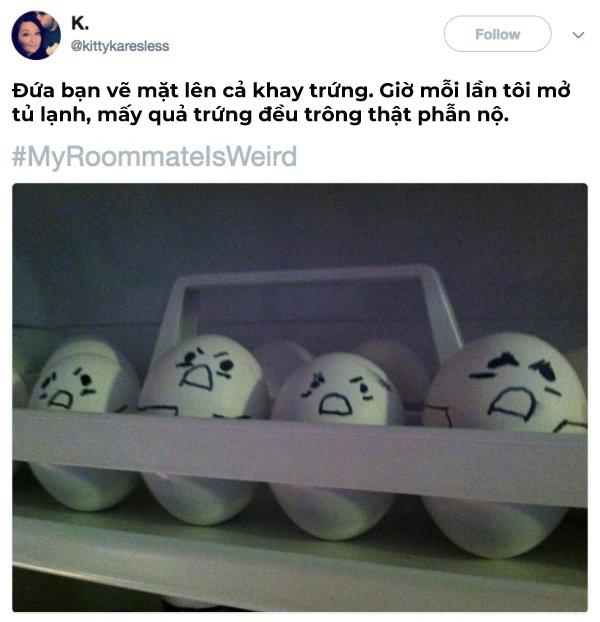22 câu chuyện oái ăm về nhân vật mang tên 'bạn cùng phòng' 22 câu chuyện oái ăm về nhân vật mang tên 'bạn cùng phòng'