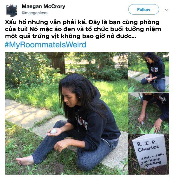 22 câu chuyện oái ăm về nhân vật mang tên 'bạn cùng phòng' 22 câu chuyện oái ăm về nhân vật mang tên 'bạn cùng phòng'