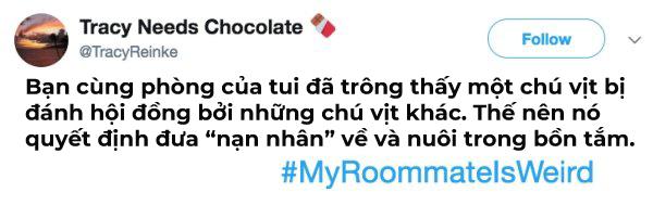 22 câu chuyện oái ăm về nhân vật mang tên 'bạn cùng phòng' 22 câu chuyện oái ăm về nhân vật mang tên 'bạn cùng phòng'