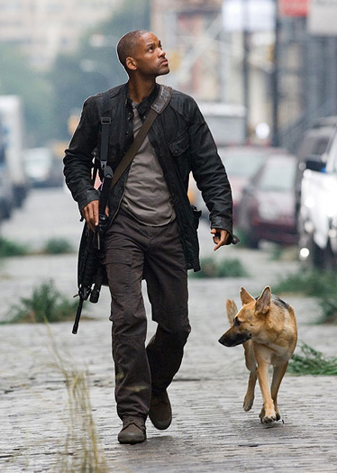Hơn 11 năm trôi qua, chú chó Sam trong 'I Am Legend' vẫn sống rất vui vẻ và khỏe mạnh Hơn 11 năm trôi qua, chú chó Sam trong 'I Am Legend' vẫn sống rất vui vẻ và khỏe mạnh