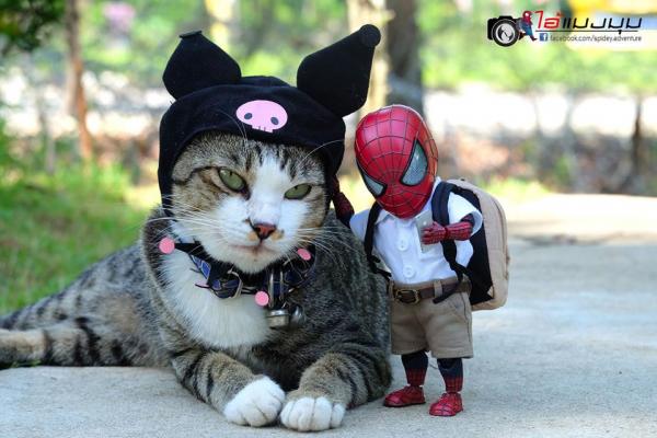 Sau khi sang Thái, Người Nhện 'baby cute' phải làm đủ nghề để kiếm sống Sau khi sang Thái, Người Nhện 'baby cute' phải làm đủ nghề để kiếm sống