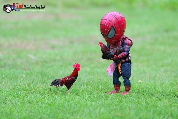 Sau khi sang Thái, Người Nhện 'baby cute' phải làm đủ nghề để kiếm sống Sau khi sang Thái, Người Nhện 'baby cute' phải làm đủ nghề để kiếm sống