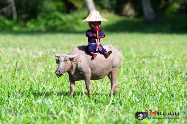 Sau khi sang Thái, Người Nhện 'baby cute' phải làm đủ nghề để kiếm sống Sau khi sang Thái, Người Nhện 'baby cute' phải làm đủ nghề để kiếm sống