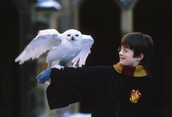 70 sự thật ly kỳ xứng đáng là 'Bách khoa toàn thư' về vũ trụ pháp thuật Harry Potter 70 sự thật ly kỳ xứng đáng là 'Bách khoa toàn thư' về vũ trụ pháp thuật Harry Potter