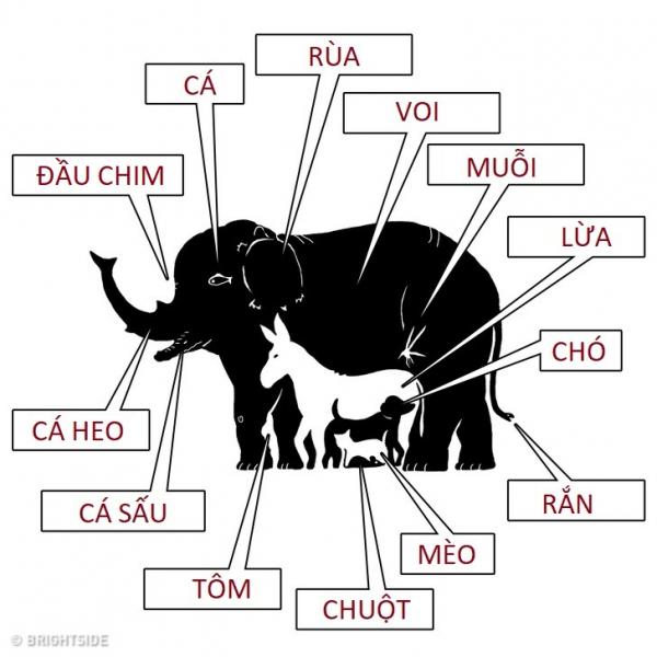 Chỉ việc trả lời 12 câu đố này, tiềm thức sẽ dẫn bạn đi tìm những tính cách ẩn sâu trong con người mình Chỉ việc trả lời 12 câu đố này, tiềm thức sẽ dẫn bạn đi tìm những tính cách ẩn sâu trong con người mình