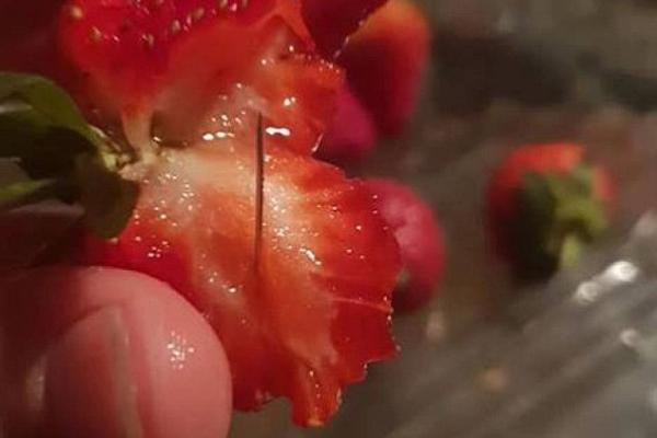 Phát hiện hơn 100 trường hợp giấu kim trong trái cây khiến ngành trồng trọt của nước Úc lao đao Phát hiện hơn 100 trường hợp giấu kim trong trái cây khiến ngành trồng trọt của nước Úc lao đao