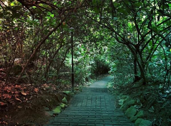 Quốc gia an toàn như Singapore mà cũng tồn tại không ít vụ án bí ẩn chưa có lời giải đáp Quốc gia an toàn như Singapore mà cũng tồn tại không ít vụ án bí ẩn chưa có lời giải đáp