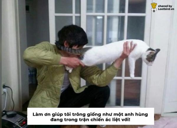 Ngây thơ nhờ chỉnh ảnh, trai Hàn đánh giá quá thấp trình phá đám của 'giang cư mận' Ngây thơ nhờ chỉnh ảnh, trai Hàn đánh giá quá thấp trình phá đám của 'giang cư mận'