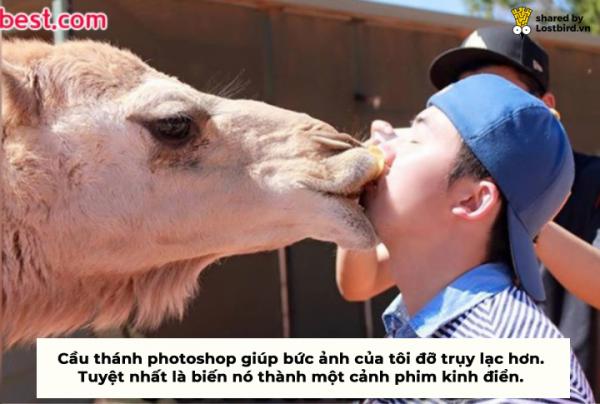 Ngây thơ nhờ chỉnh ảnh, trai Hàn đánh giá quá thấp trình phá đám của 'giang cư mận' Ngây thơ nhờ chỉnh ảnh, trai Hàn đánh giá quá thấp trình phá đám của 'giang cư mận'