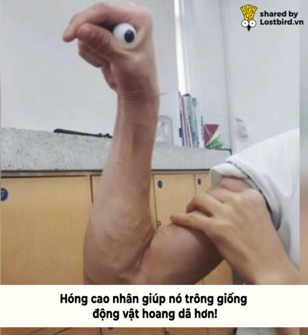 Ngây thơ nhờ chỉnh ảnh, trai Hàn đánh giá quá thấp trình phá đám của 'giang cư mận' Ngây thơ nhờ chỉnh ảnh, trai Hàn đánh giá quá thấp trình phá đám của 'giang cư mận'