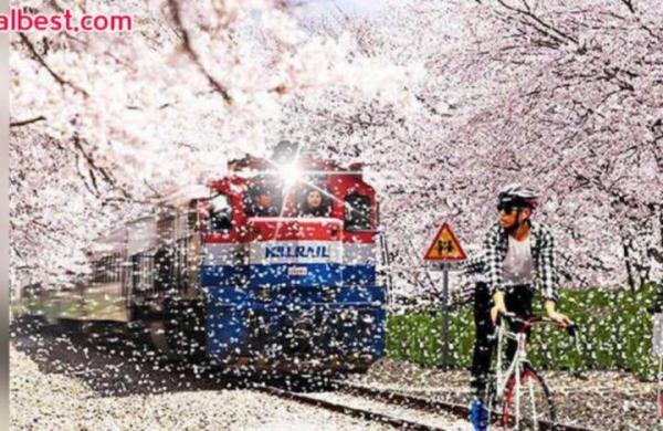 Ngây thơ nhờ chỉnh ảnh, trai Hàn đánh giá quá thấp trình phá đám của 'giang cư mận' Ngây thơ nhờ chỉnh ảnh, trai Hàn đánh giá quá thấp trình phá đám của 'giang cư mận'