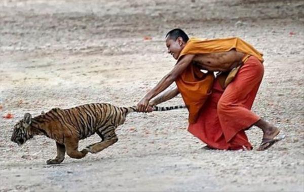 Tự tin lên! Loạt ảnh sau đây sẽ giúp bạn thấy mình còn thông minh hơn khối người Tự tin lên! Loạt ảnh sau đây sẽ giúp bạn thấy mình còn thông minh hơn khối người