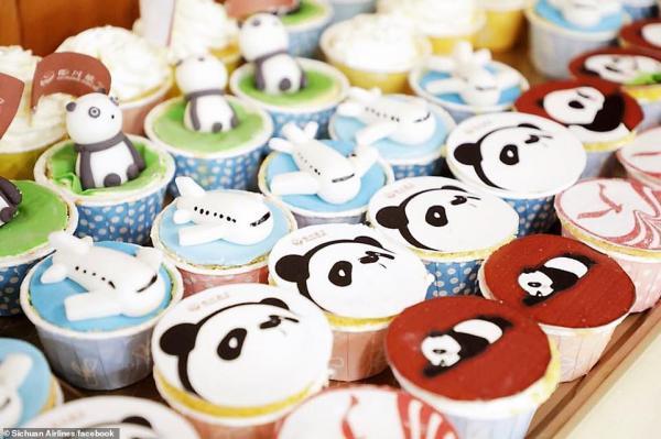 'Đường bay gấu trúc' khiến bao người xao xuyến vì mức độ cute 'kịch trần' 'Đường bay gấu trúc' khiến bao người xao xuyến vì mức độ cute 'kịch trần'