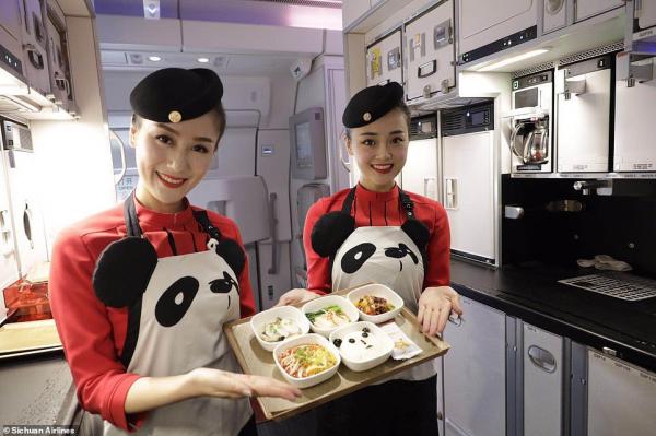 'Đường bay gấu trúc' khiến bao người xao xuyến vì mức độ cute 'kịch trần' 'Đường bay gấu trúc' khiến bao người xao xuyến vì mức độ cute 'kịch trần'