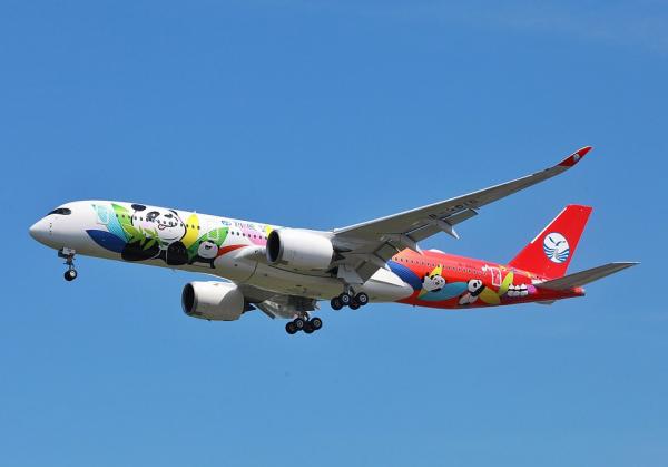 'Đường bay gấu trúc' khiến bao người xao xuyến vì mức độ cute 'kịch trần' 'Đường bay gấu trúc' khiến bao người xao xuyến vì mức độ cute 'kịch trần'