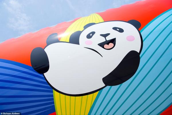 'Đường bay gấu trúc' khiến bao người xao xuyến vì mức độ cute 'kịch trần' 'Đường bay gấu trúc' khiến bao người xao xuyến vì mức độ cute 'kịch trần'