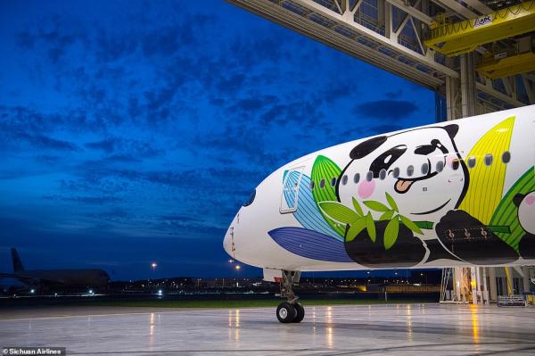 'Đường bay gấu trúc' khiến bao người xao xuyến vì mức độ cute 'kịch trần' 'Đường bay gấu trúc' khiến bao người xao xuyến vì mức độ cute 'kịch trần'