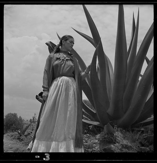 8 sự kiện nổi bật trong cuộc đời Frida Kahlo - Nữ nghệ sĩ có phong cách độc nhất vô nhị trong lịch sử 8 sự kiện nổi bật trong cuộc đời Frida Kahlo - Nữ nghệ sĩ có phong cách độc nhất vô nhị trong lịch sử