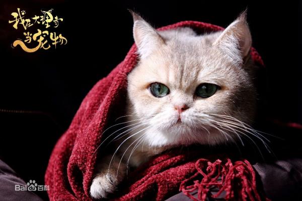 Những lý do khiến 'Ta Ở Đại Lý Tự Làm Sủng Vật' trở thành bộ phim được mong đợi nhất thời điểm này Những lý do khiến 'Ta Ở Đại Lý Tự Làm Sủng Vật' trở thành bộ phim được mong đợi nhất thời điểm này
