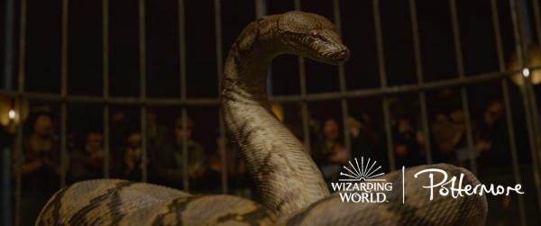 Thử giải mã 11 chi tiết quan trọng được cài cắm trong trailer 'Fantastic Beasts 2' Thử giải mã 11 chi tiết quan trọng được cài cắm trong trailer 'Fantastic Beasts 2'