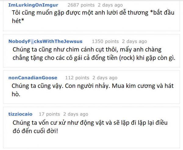 Ế mãi rồi, thử một lần áp dụng những chiêu tán tỉnh của động vật xem sao! Ế mãi rồi, thử một lần áp dụng những chiêu tán tỉnh của động vật xem sao!