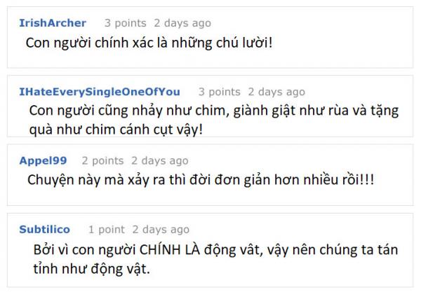 Ế mãi rồi, thử một lần áp dụng những chiêu tán tỉnh của động vật xem sao! Ế mãi rồi, thử một lần áp dụng những chiêu tán tỉnh của động vật xem sao!