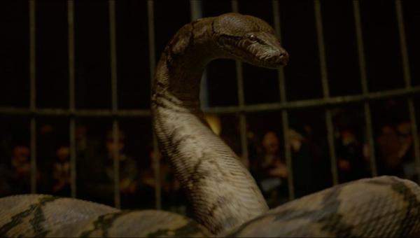Chi tiết nào của 'Fantastic Beasts 2' còn gây sốc hơn cả việc Nagini từng là người? Chi tiết nào của 'Fantastic Beasts 2' còn gây sốc hơn cả việc Nagini từng là người?