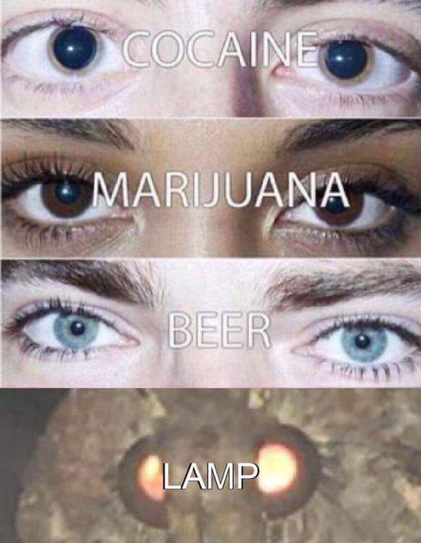Moth meme: Cơn ác mộng 'dễ thương' và 'dễ sợ' đến từ loài sâu bướm Moth meme: Cơn ác mộng 'dễ thương' và 'dễ sợ' đến từ loài sâu bướm