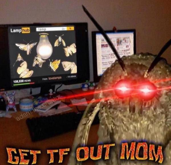 Moth meme: Cơn ác mộng 'dễ thương' và 'dễ sợ' đến từ loài sâu bướm Moth meme: Cơn ác mộng 'dễ thương' và 'dễ sợ' đến từ loài sâu bướm