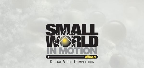 Thế giới siêu vi trong các tác phẩm chiến thắng cuộc thi Nikon Small World in Motion 2018 Thế giới siêu vi trong các tác phẩm chiến thắng cuộc thi Nikon Small World in Motion 2018