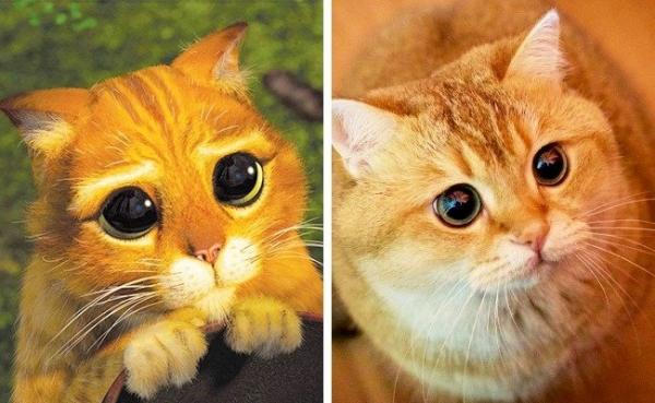 Thán phục trước khả năng cosplay 'thần sầu' của động vật Thán phục trước khả năng cosplay 'thần sầu' của động vật