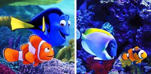 Thán phục trước khả năng cosplay 'thần sầu' của động vật Thán phục trước khả năng cosplay 'thần sầu' của động vật