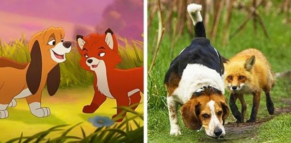 Thán phục trước khả năng cosplay 'thần sầu' của động vật Thán phục trước khả năng cosplay 'thần sầu' của động vật