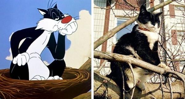 Thán phục trước khả năng cosplay 'thần sầu' của động vật Thán phục trước khả năng cosplay 'thần sầu' của động vật